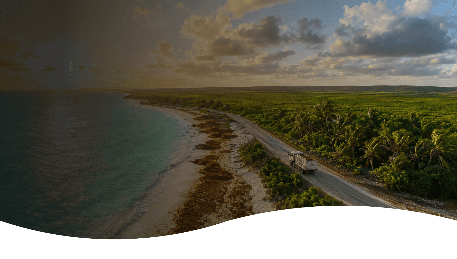 Coastal road beside sargassum shoreline