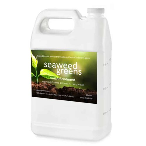 Seaweed Greens 1 gallon jug