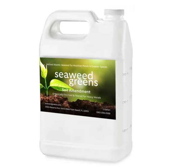 Seaweed Greens 1 gallon jug