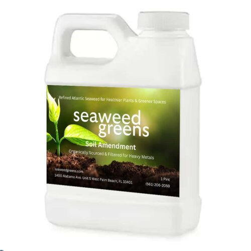 Seaweed Greens Pint