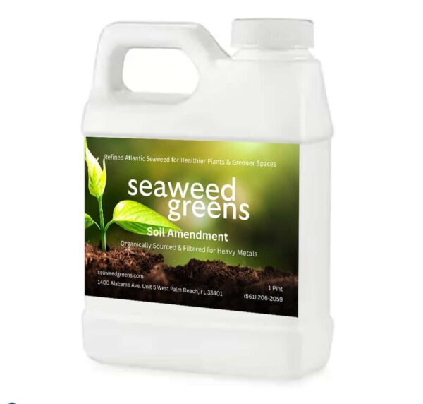 Seaweed Greens Pint