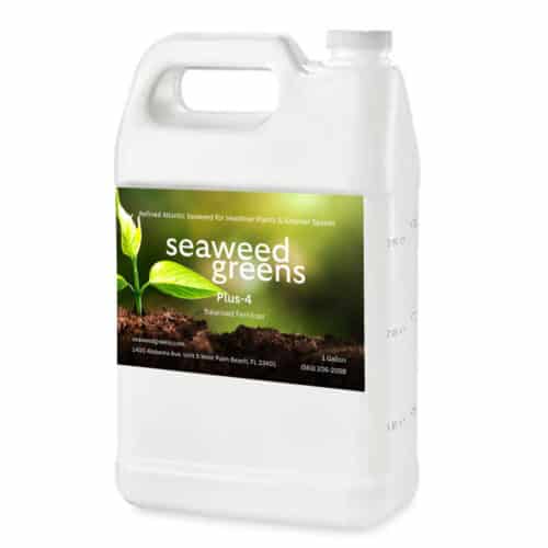 PLUS 4 – Balanced Fertilizer 1 gallon jug
