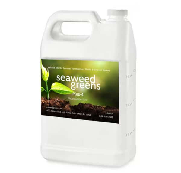 PLUS 4 – Balanced Fertilizer 1 gallon jug