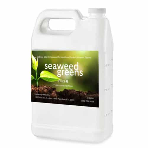 PLUS 8 – Professional Fertilizer 1 gallon jug