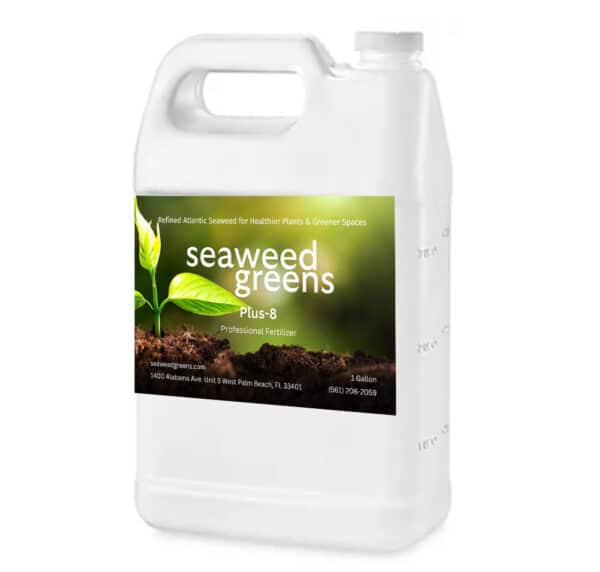 PLUS 8 – Professional Fertilizer 1 gallon jug